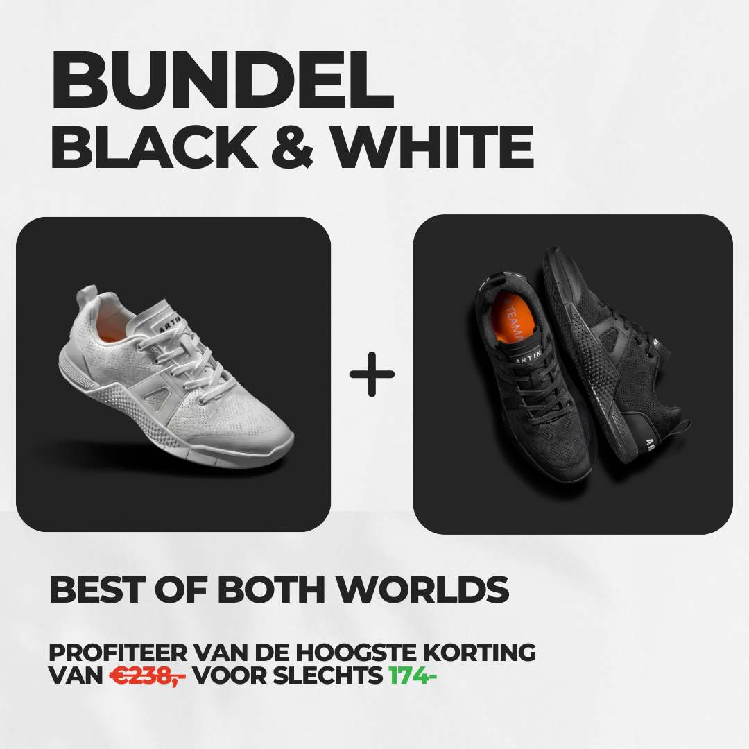 Mesh Trainer 2