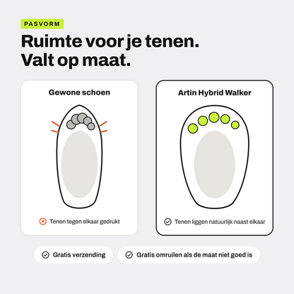 Mesh Trainer 3