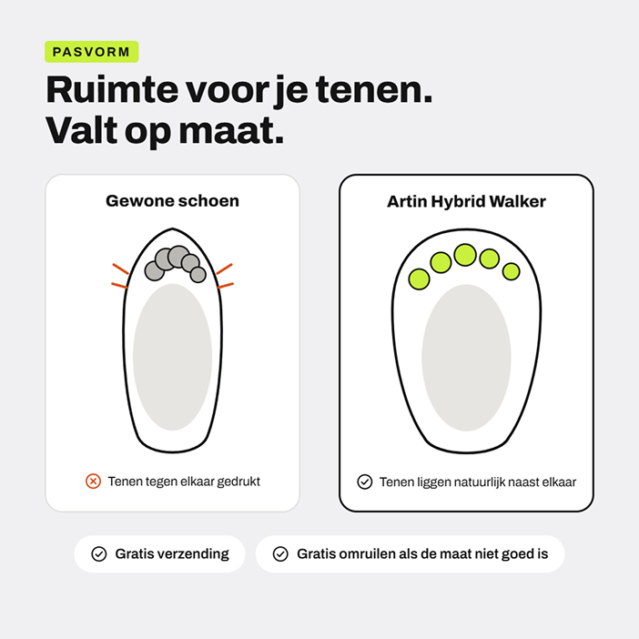Mesh Trainer 3